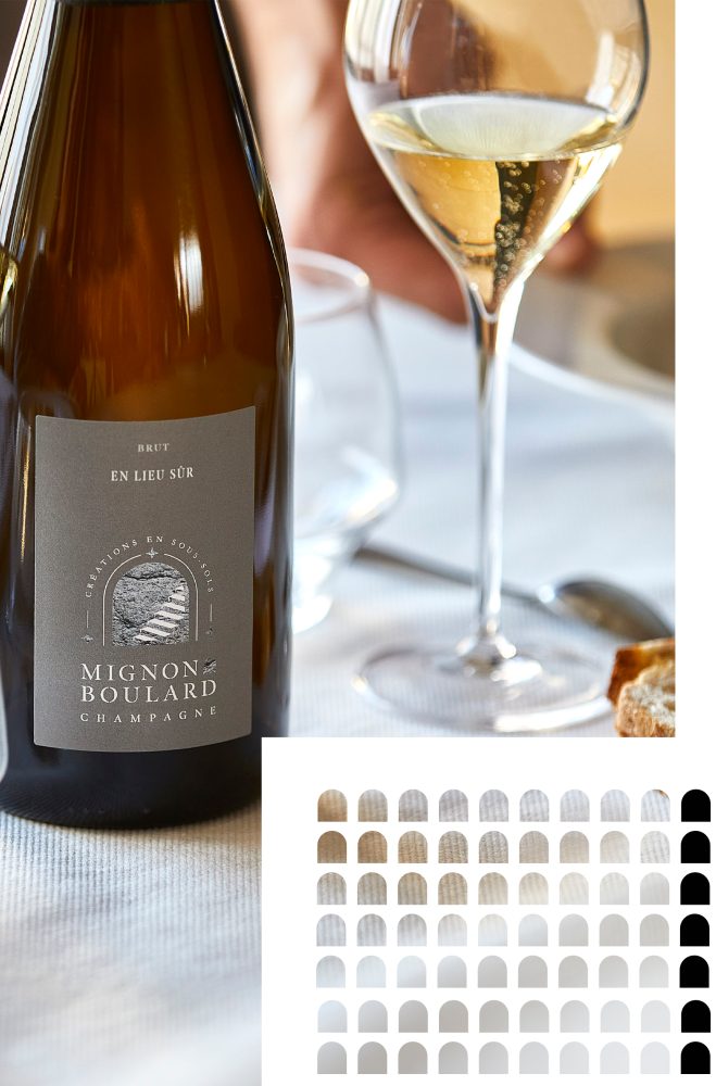 CHAMPAGNE MIGNON BOULARD-29