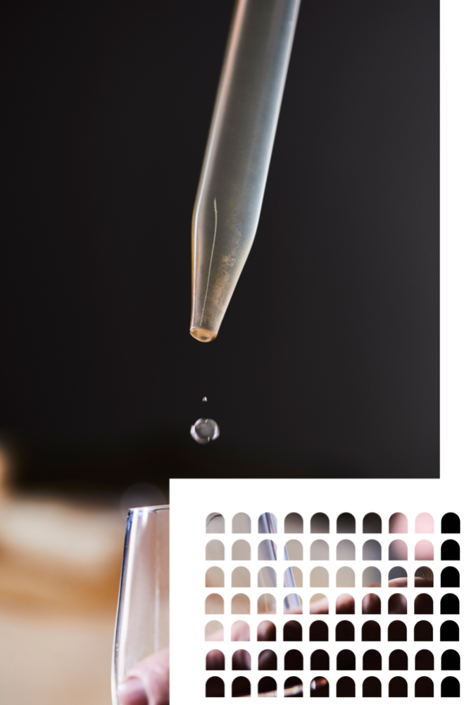 Quand on parle terroir