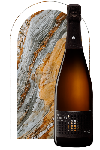 CHAMPAGNE MIGNON BOULARD Les Beaux Ceps